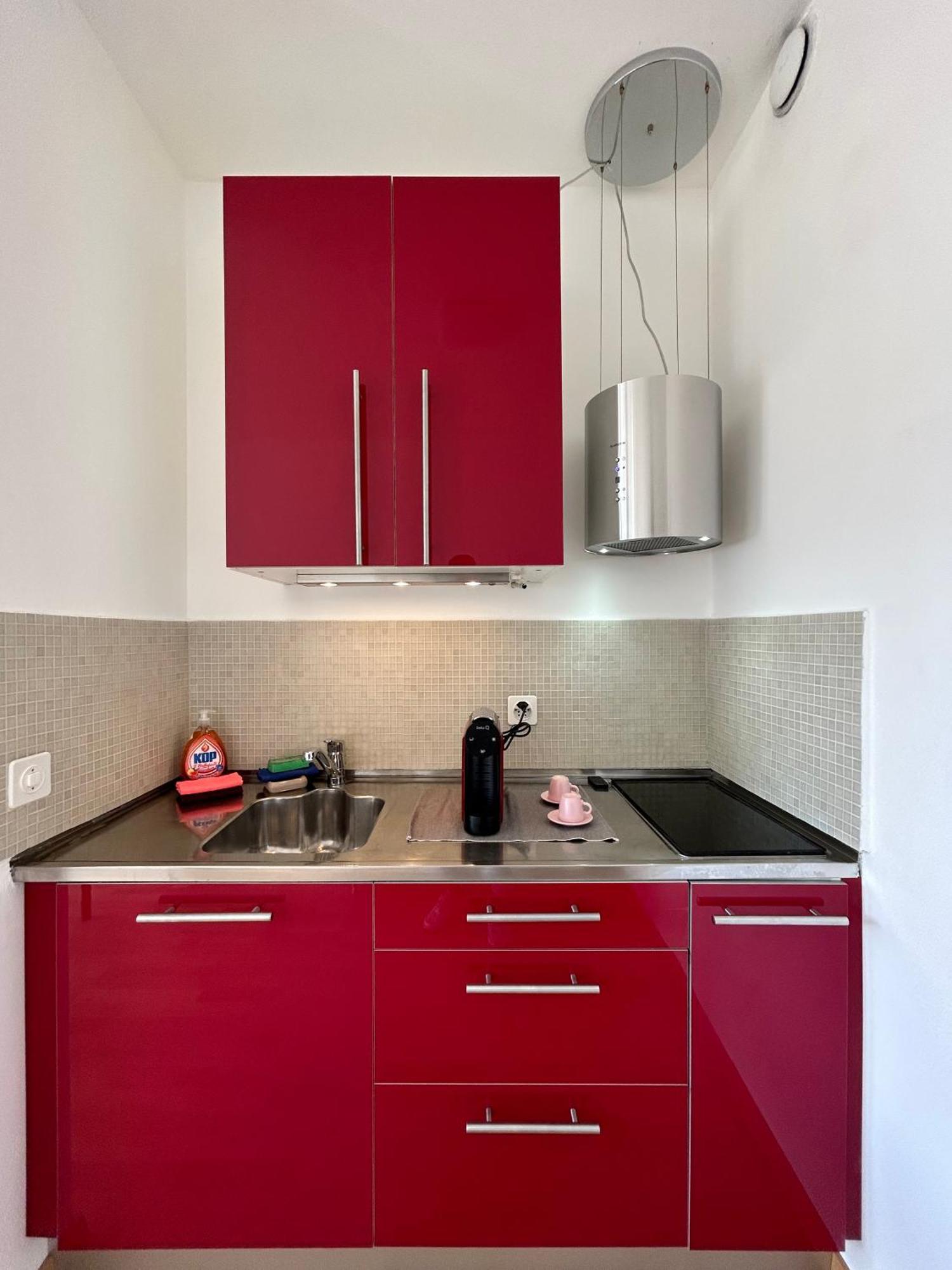 Switzerland Apartment Lugano Central Location エクステリア 写真